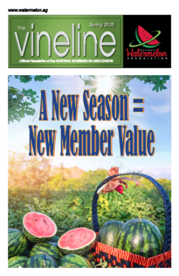 3 25 Vl Cover